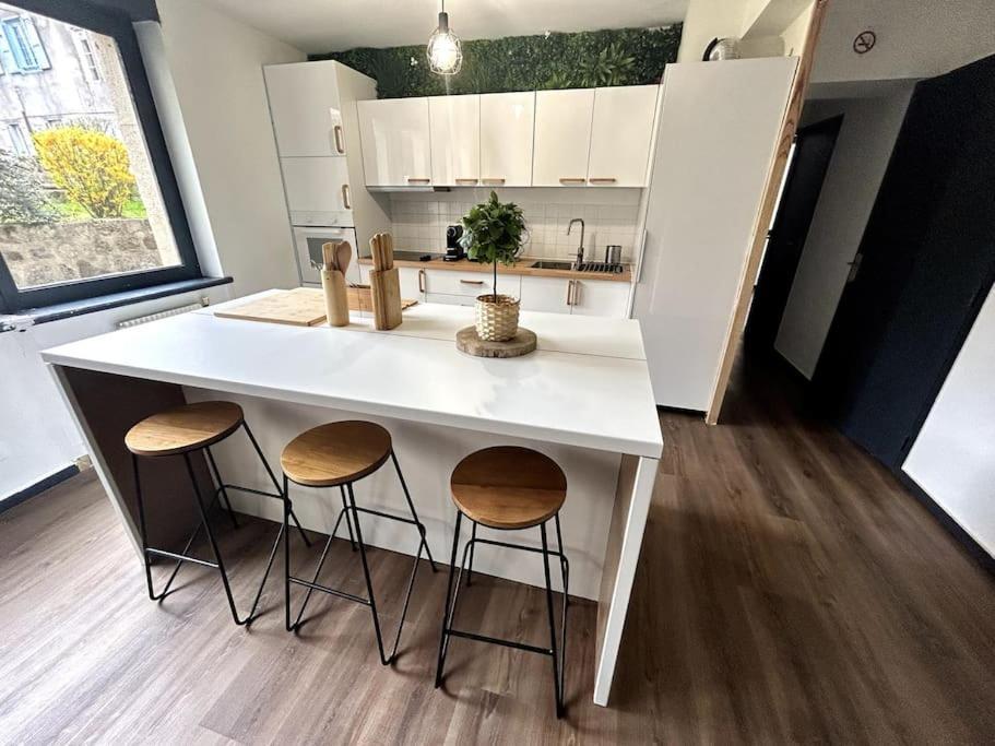 Le Puy En Velay - Appartement Grand Confort מראה חיצוני תמונה