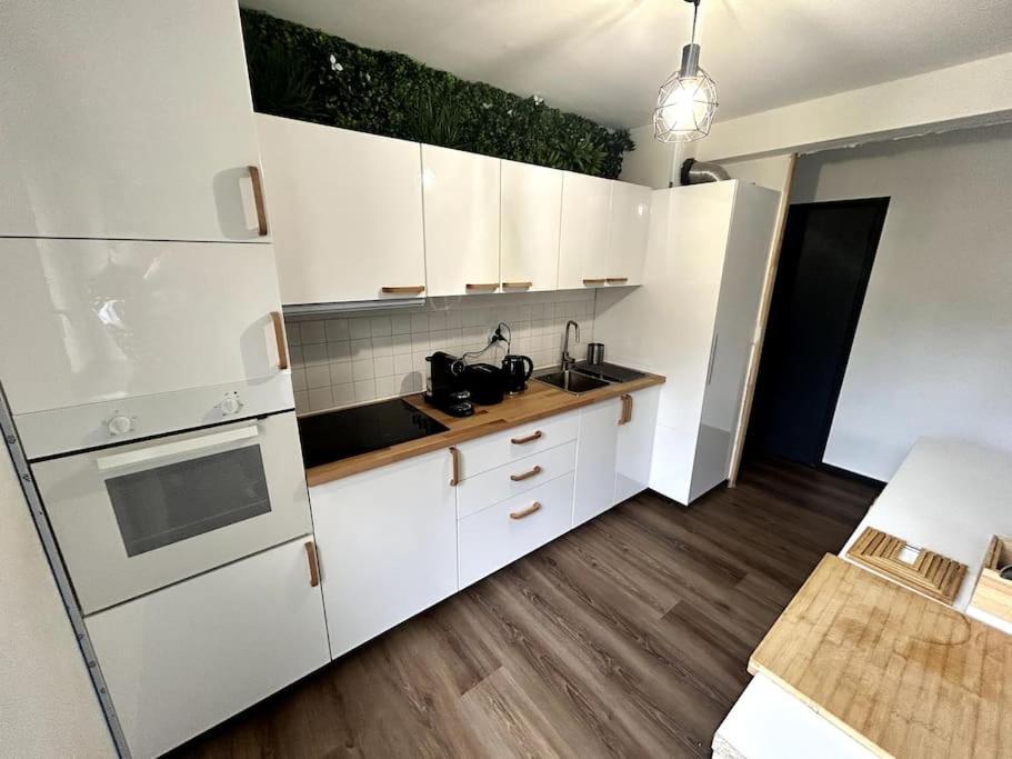 Le Puy En Velay - Appartement Grand Confort מראה חיצוני תמונה