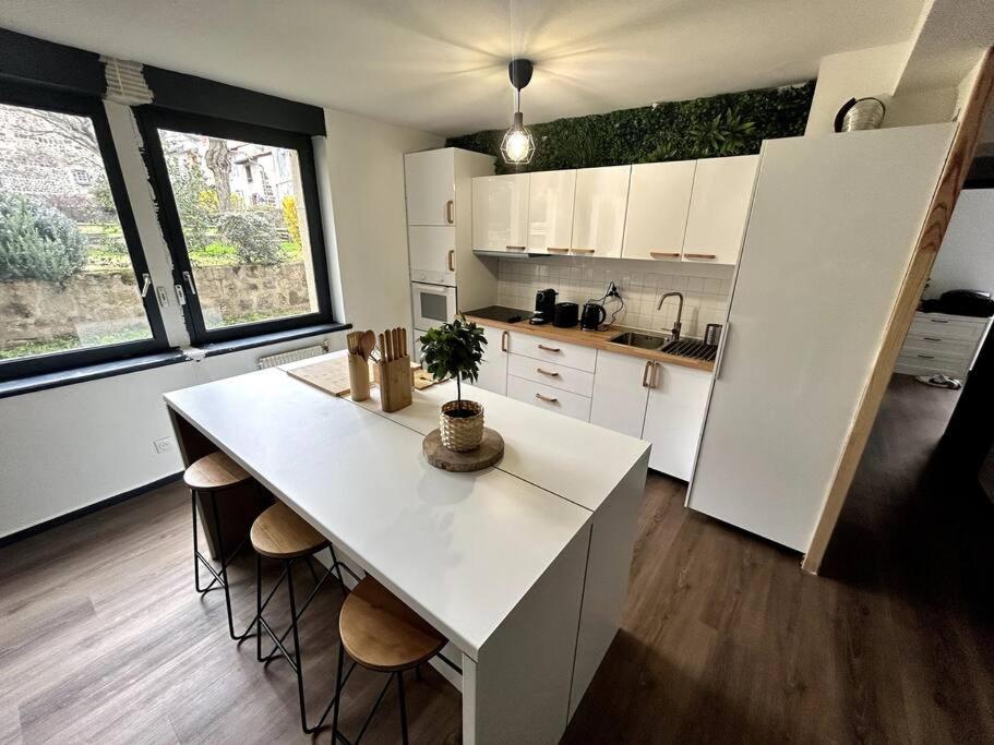Le Puy En Velay - Appartement Grand Confort מראה חיצוני תמונה