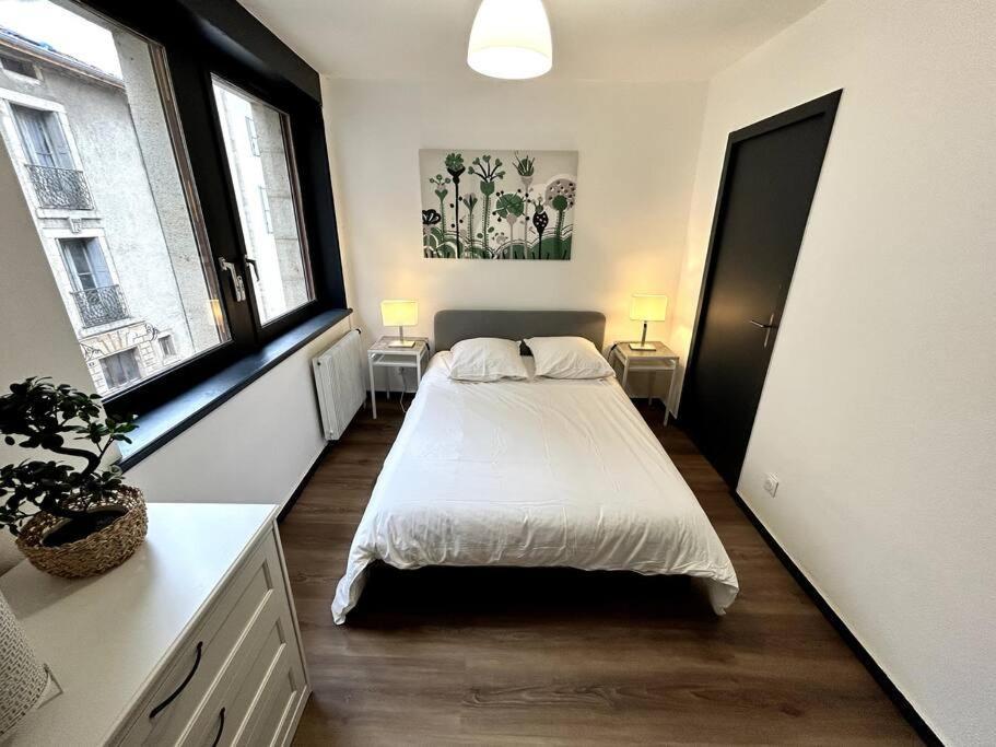 Le Puy En Velay - Appartement Grand Confort מראה חיצוני תמונה